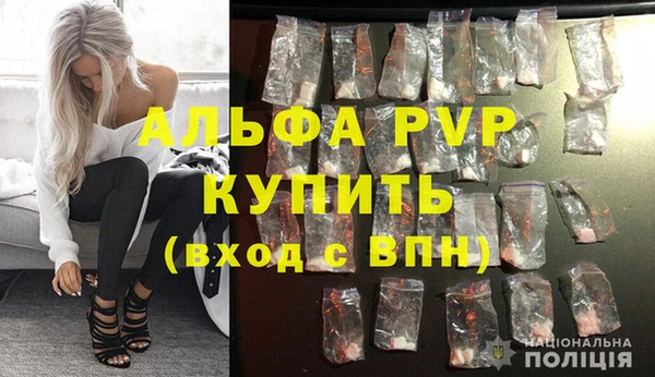 эйфоретик Сясьстрой