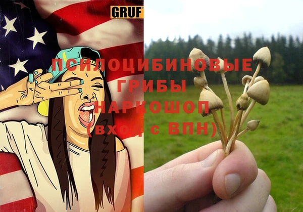 эйфоретик Сясьстрой