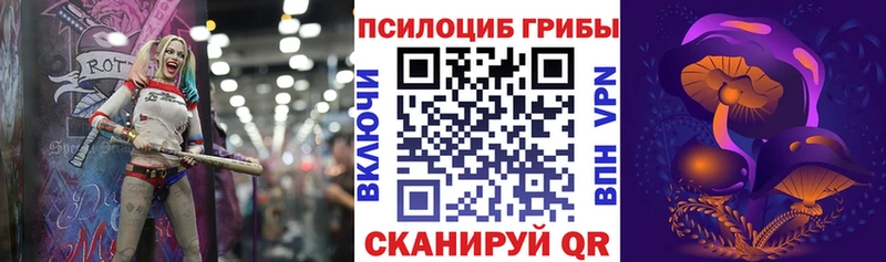 Галлюциногенные грибы Psilocybine cubensis  Таганрог 
